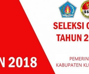 PENGUMUMAN HASIL SELEKSI ADMINISTRASI CPNS KABUPATEN KLUNGKUNG TAHUN 2018